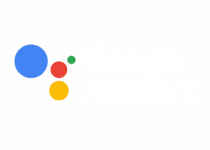 Google Assistant registration for voice search traffic growth